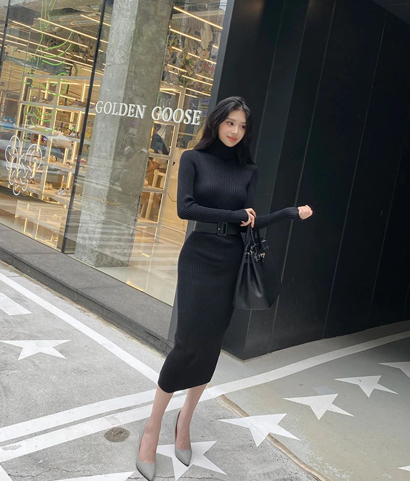 Ava - Elastic Turtleneck Knit Dress