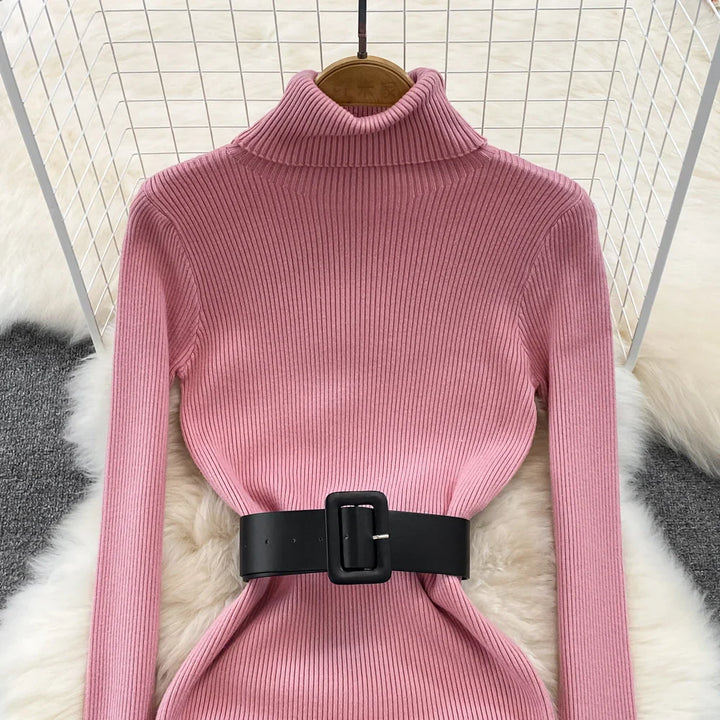 Amelia  -  Turtleneck Knit Pencil Dress