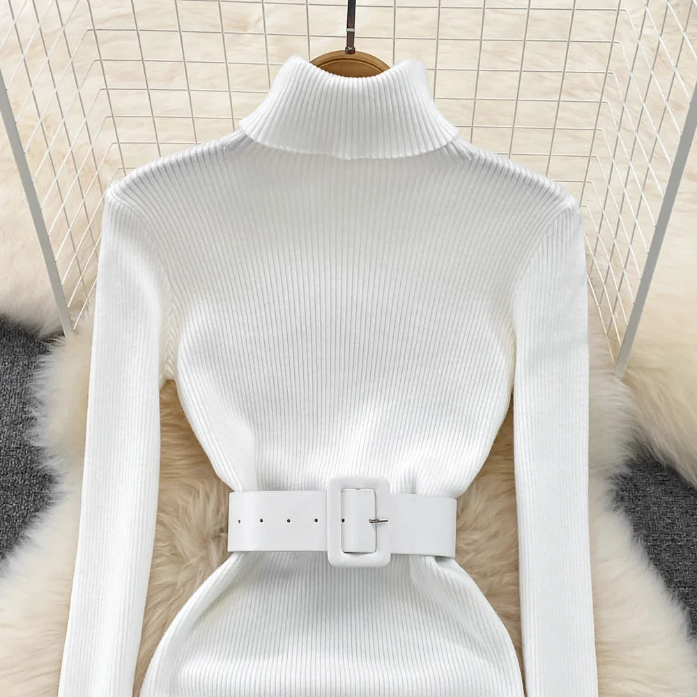 Amelia  -  Turtleneck Knit Pencil Dress