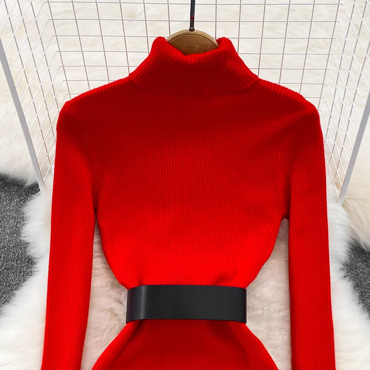 Amelia  -  Turtleneck Knit Pencil Dress