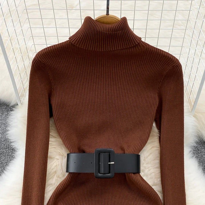 Amelia  -  Turtleneck Knit Pencil Dress