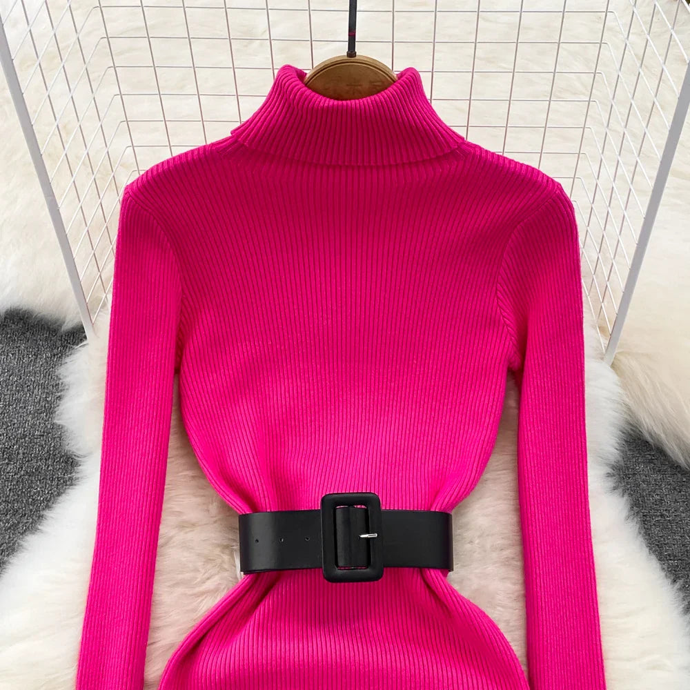 Amelia  -  Turtleneck Knit Pencil Dress