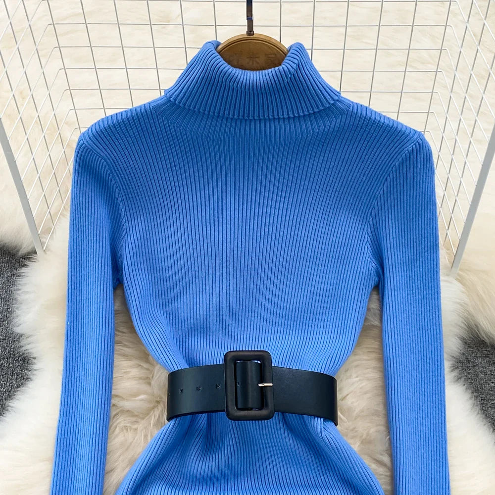 Amelia  -  Turtleneck Knit Pencil Dress