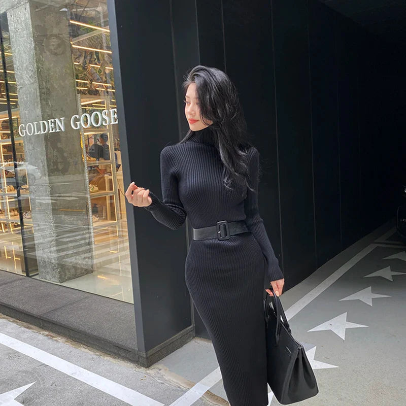 Ava - Elastic Turtleneck Knit Dress