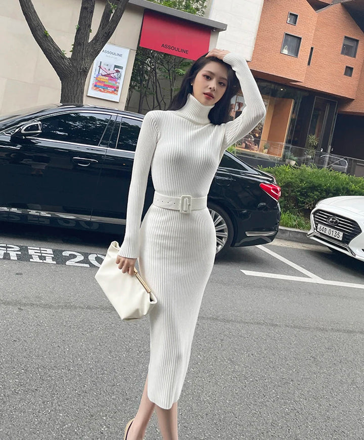 Ava - Elastic Turtleneck Knit Dress